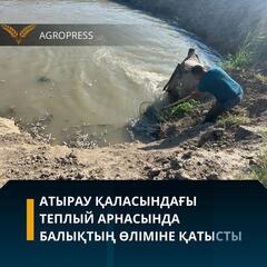 Атырау қаласындағы Теплый арнасында балықтың өліміне қатысты