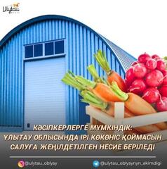 КӘСІПКЕРЛЕРГЕ МҮМКІНДІК: ҰЛЫТАУ ОБЛЫСЫНДА ІРІ КӨКӨНІС ҚОЙМАСЫН САЛУҒА ЖЕҢІЛДЕТІЛГЕН НЕСИЕ БЕРІЛЕДІ