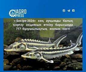 «Бекіре-2024» кең ауқымды балық қорғау акциясын өткізу барысында 717 бұзушылықтың жолын кесті