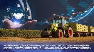 Жартыжылдық қорытындысы: ауыл шаруашылығындағы негізгі көрсеткіштер және шаруаларды мемлекеттік қолдау