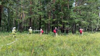 Ақмола облысында «Орман» профилактикалық іс-шарасы