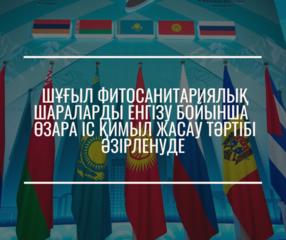 Шұғыл фитосанитариялық шараларды енгізу бойынша өзара іс қимыл жасау тәртібі әзірленуде