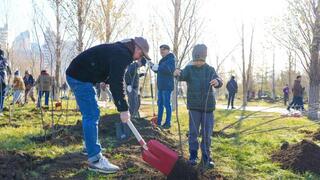 Астананы көгалдандыру: жергілікті суару жүйелері және қала тұрғындарының жайлылығы үшін миллиондаған өсімдік