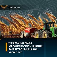 Түркістан облысы агроөнеркәсіптік кешенді дамыту бойынша көш бастап тұр