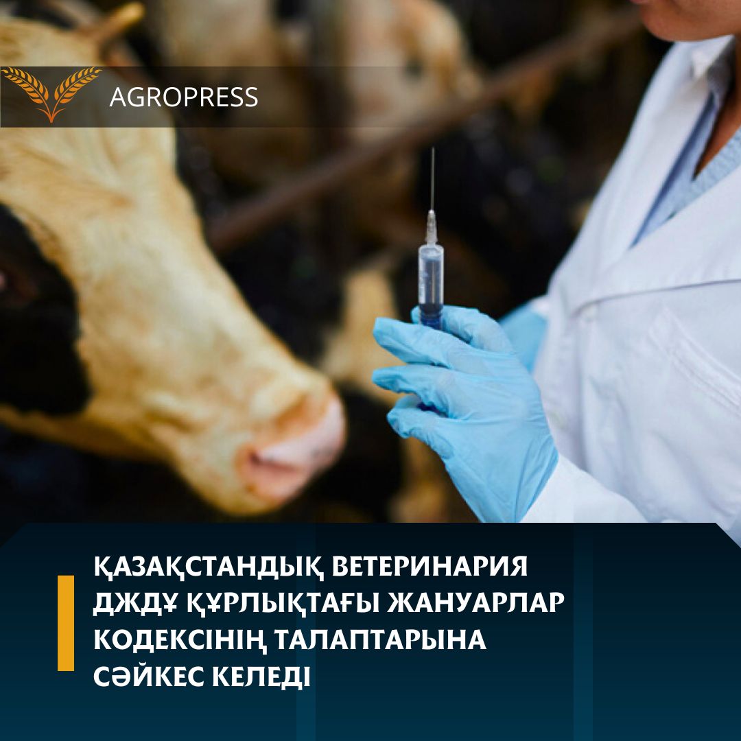 Қазақстандық ветеринария ДЖДҰ құрлықтағы жануарлар кодексінің талаптарына сәйкес келеді