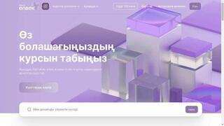 61 мыңнан астам қазақстандық Skills Enbek платформасында оқудан өтті