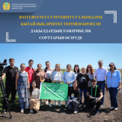 BAITURSYNULY UNIVERSITY ҒАЛЫМДАРЫ ҚЫТАЙЛЫҚ ӘРІПТЕСТЕРІМЕН БІРЛЕСІП ДАҚЫЛДАРДЫҢ ТӘЖІРИБЕЛІК СОРТТАРЫН ӨСІРУДЕ