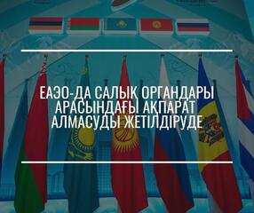 ЕАЭО-да салық органдары арасындағы ақпарат алмасуды жетілдіруде