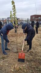 ТҮРКІСТАН: ЦИФРЛАНДЫРУ ЖӘНЕ АҚПАРАТТЫҚ ТЕХНОЛОГИЯЛАР САЛАСЫНЫҢ ҚЫЗМЕТКЕРЛЕРІ 200-ГЕ ЖУЫҚ АҒАШ ОТЫРҒЫЗДЫ