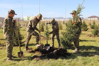 ТЖМ өрт сөндіру бөлімдерін көгалдандыруды жалғастыруда