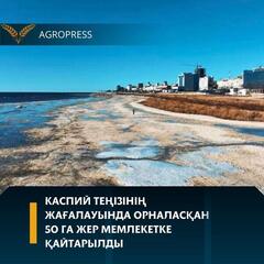 Каспий теңізінің жағалауында орналасқан 50 га жер мемлекетке қайтарылды