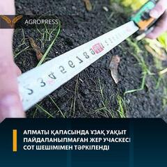 Алматы қаласында ұзақ уақыт пайдаланылмаған жер учаскесі сот шешімімен тәркіленді