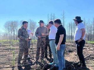 Ірі орман өртінің салдарын жою жөніндегі жұмыстар