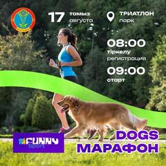 Dogs марафон: елордалық Триатлон саябағында иттер жарысы өтеді