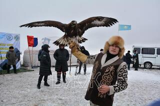 Қарағанды облысында елдің үздік құсбегілері анықталды