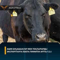 АШМ бұқашықтар мен тоқтыларды экспорттауға квота лимитін арттырды