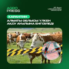 Алматы облысы Үлкен Ақсу ауылына карантин енгізіледі