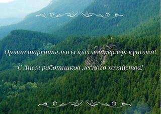 Ақмола облысының әкімі Марат Ахметжановтың орман шаруашылығы қызметкерлері күнімен құттықтауы