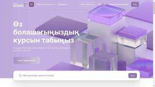 61 мыңнан астам қазақстандық Skills Enbek платформасында оқыды