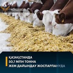 Қазақстанда 50,7 млн тонна жем дайындау жоспарлануда