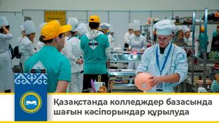 Қазақстанда колледждер базасында шағын кәсіпорындар құрылуда