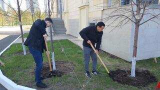 Елорда прокуратурасының ұжымы сенбілікке қатысуды жалғастыруда