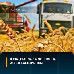 Қазақстанда 6,4 млн тонна астық бастырылды