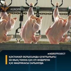 Қостанай облысында қуаттылығы 50 мың тонна құс еті өндіретін құс фабрикасы салынуда