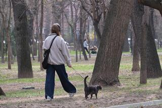 Алматыда үй жануарларын чиптеу бағдарламасы басталады