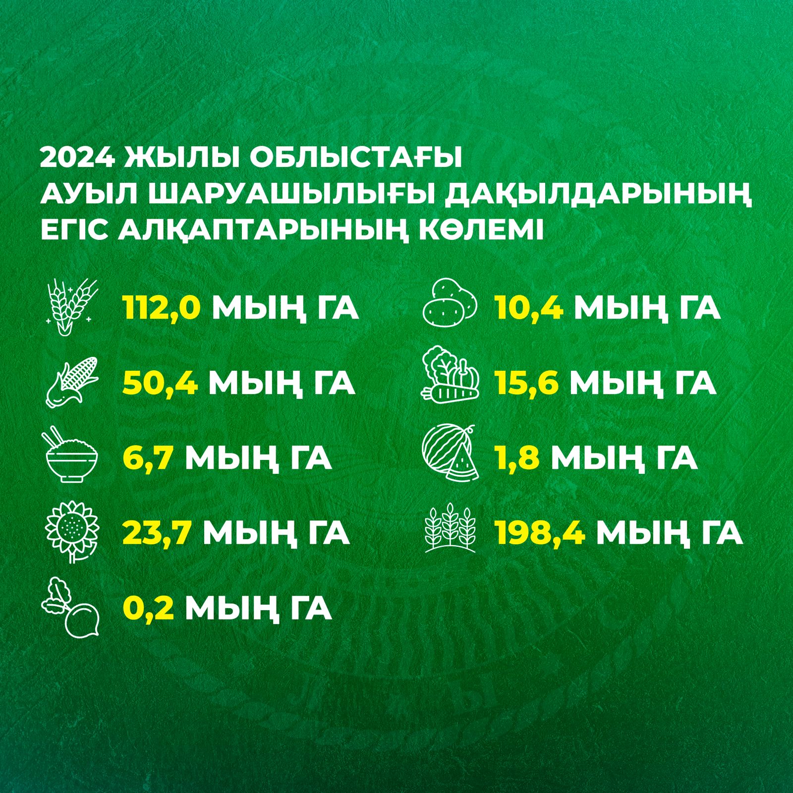 Жаңа технологиялар - мол өнімнің кепілі: Алматы облысындағы астық науқаны