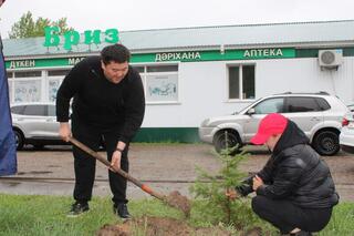 Бородулиха ауданында абаттандыру, санитарлық тазалау және көгалдандыру жұмыстары жүргізіліп жатыр