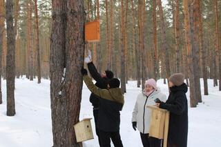 Бородулиха ауданында «Орманымызды сақтаймыз» атты экологиялық акция өтті