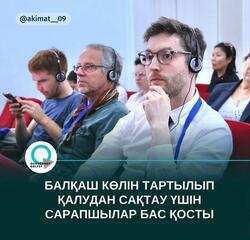 Балқаш көлін тартылып қалудан сақтау үшін сарапшылар бас қосты