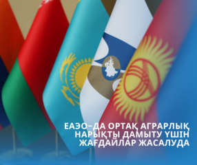 ЕАЭО-да ортақ аграрлық нарықты дамыту үшін жағдайлар жасалуда