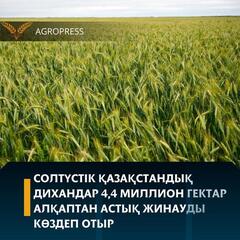 Солтүстік Қазақстандық дихандар 4,4 миллион гектар алқаптан астық жинауды көздеп отыр