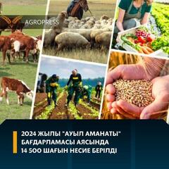 2024 жылы «Ауыл аманаты» бағдарламасы аясында 14 500 шағын несие берілді